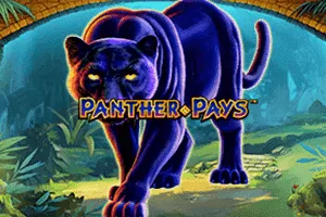 Panther Pays - HONEYSLOT777