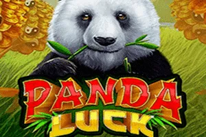 Panda Luck - HONEYSLOT777