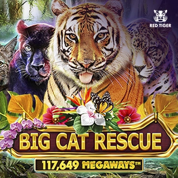 Big Cat Rescue Megaways - HONEYSLOT777