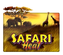 Joker123 : Safari Heat - HONEYSLOT777