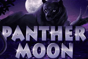 Panther Moon - HONEYSLOT777