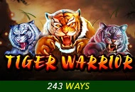 Tiger Warrior - HONEYSLOT777