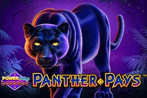 Panther Pays Power Play Jackpot - HONEYSLOT777
