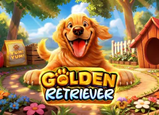 Golden Retriever - HONEYSLOT777