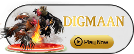 Digman - HONEYSLOT777