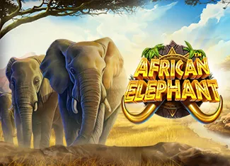 Pragmatic : African Elephant - HONEYSLOT777